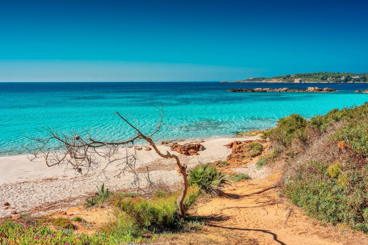 Ville In Resort Con Piscina A 2 Km Da Alghero Kültér fotó